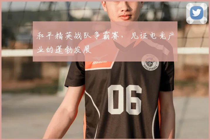 和平精英战队争霸赛，见证电竞产业的蓬勃发展