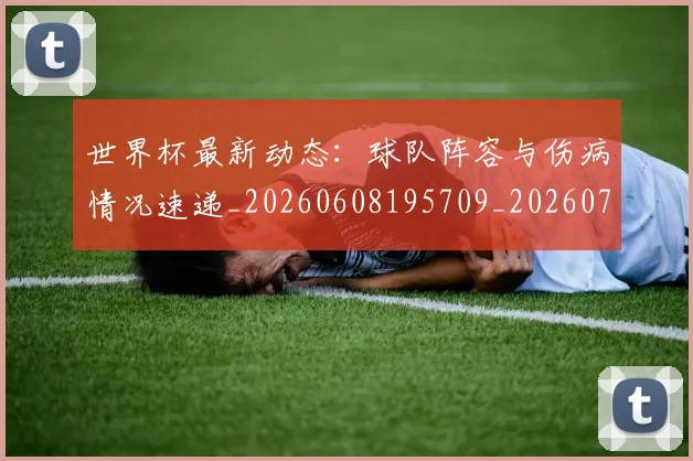 世界杯最新动态：球队阵容与伤病情况速递_20260608195709_20260703203108