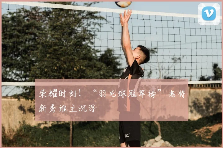 荣耀时刻!“羽毛球冠军榜”老将新秀谁主沉浮