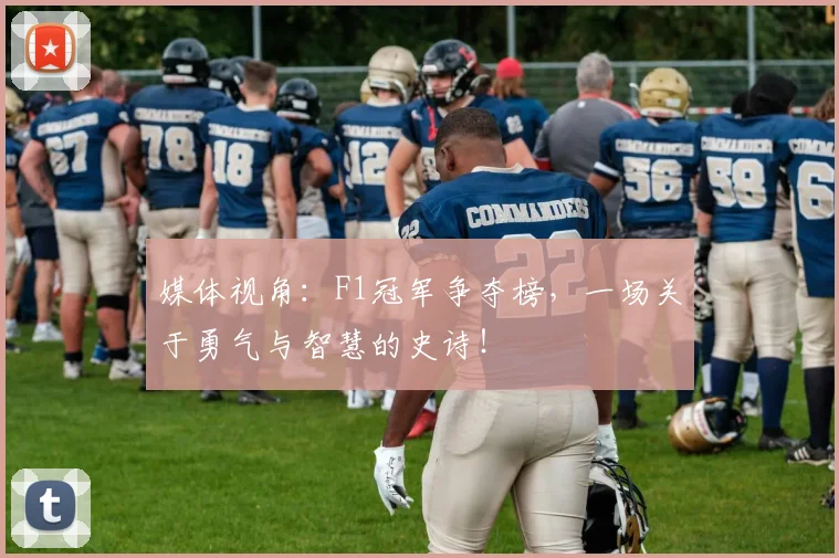 媒体视角：F1冠军争夺榜，一场关于勇气与智慧的史诗！