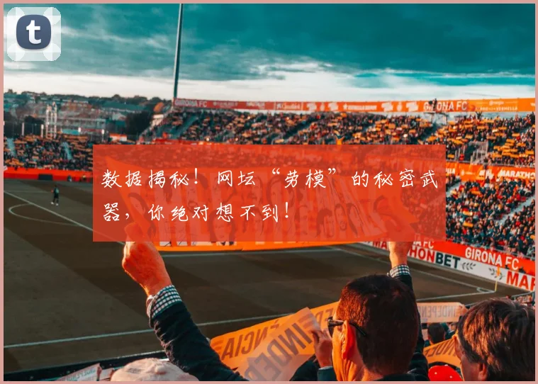 数据揭秘！网坛“劳模”的秘密武器，你绝对想不到！