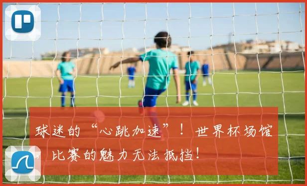 球迷的“心跳加速”！世界杯场馆，比赛的魅力无法抵挡！