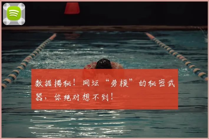 数据揭秘！网坛“劳模”的秘密武器，你绝对想不到！