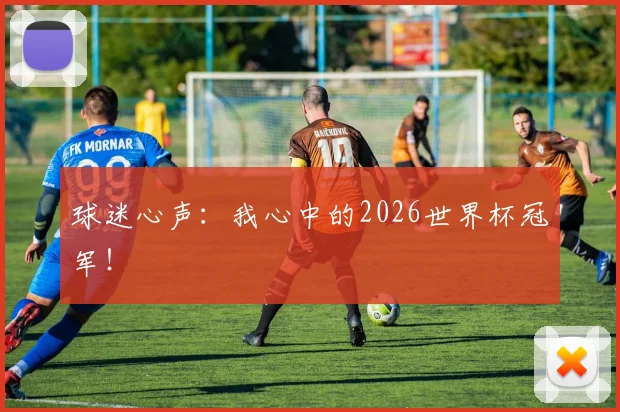 球迷心声：我心中的2026世界杯冠军！