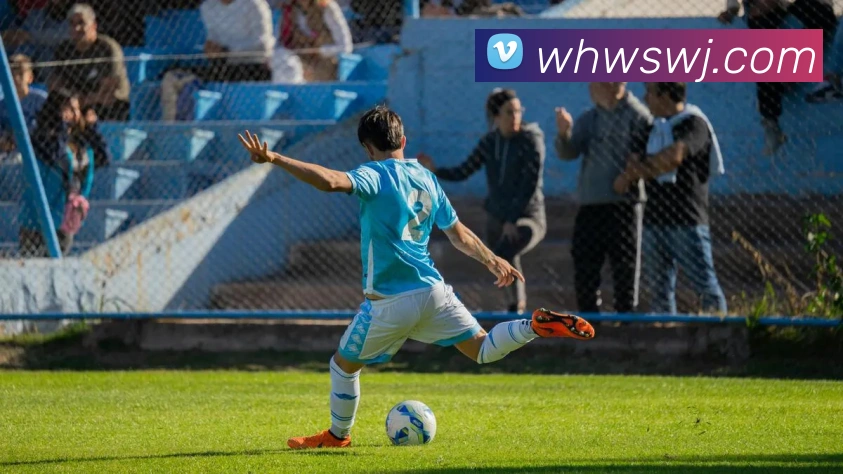 奖项图1